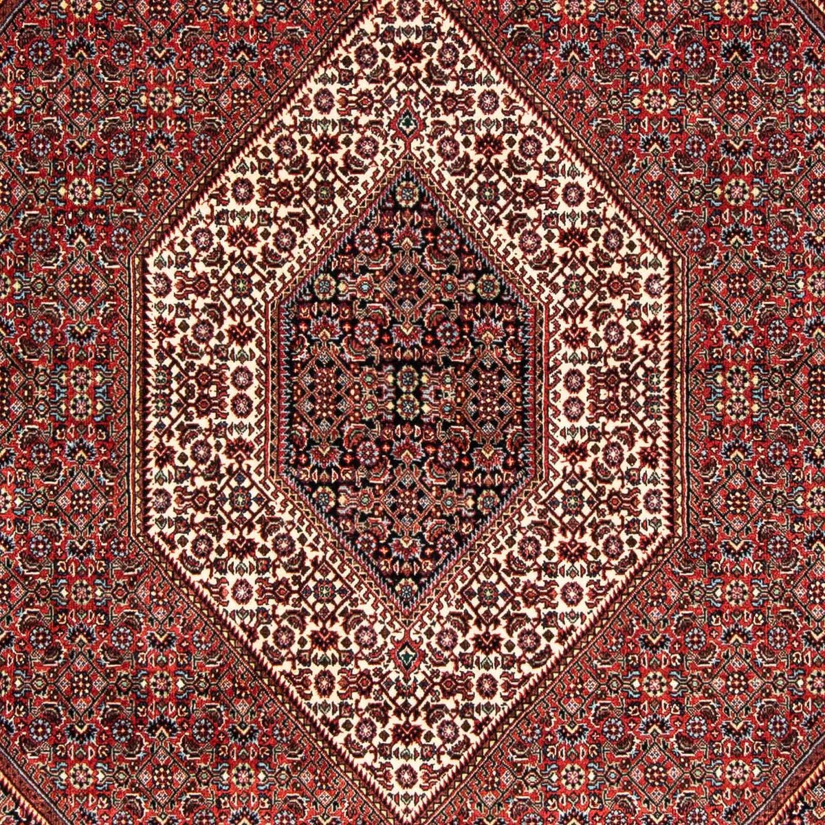 Tappeto Persero - Bidjar - 239 x 166 cm - multicolore