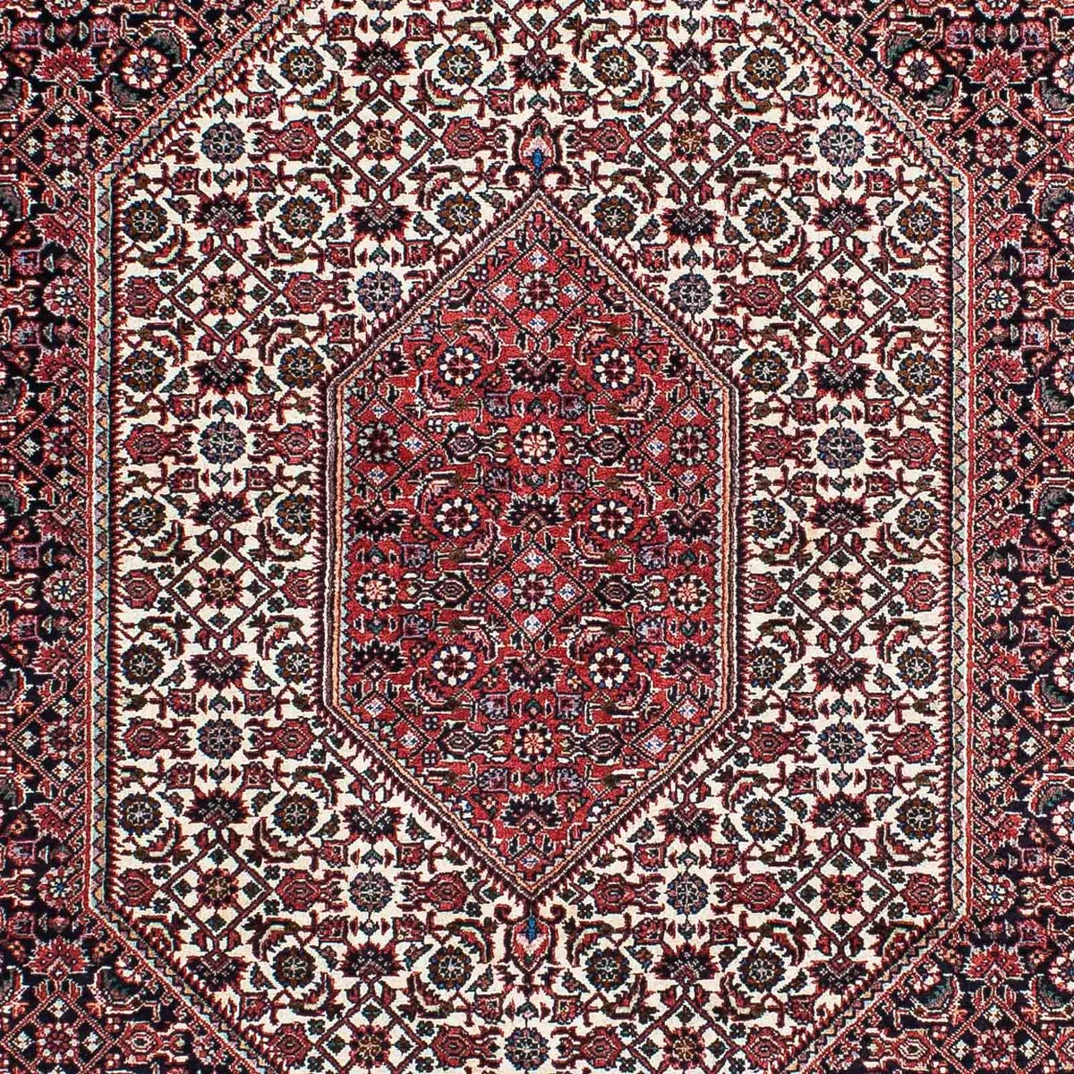 Tappeto Persero - Bidjar - 211 x 132 cm - rosso chiaro