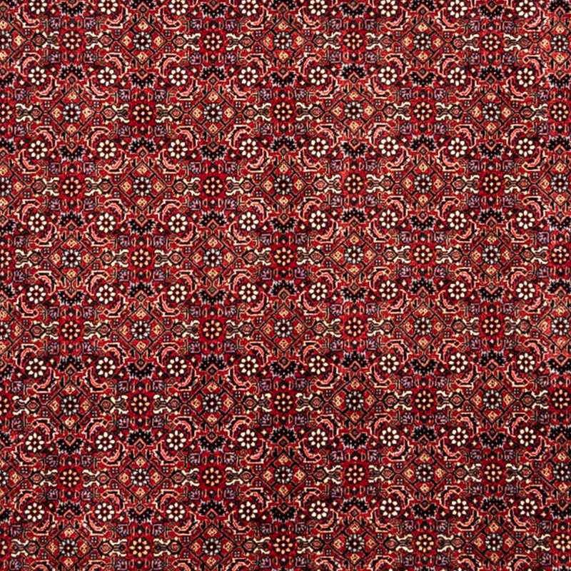 Tappeto Persero - Bidjar - 350 x 252 cm - rosso