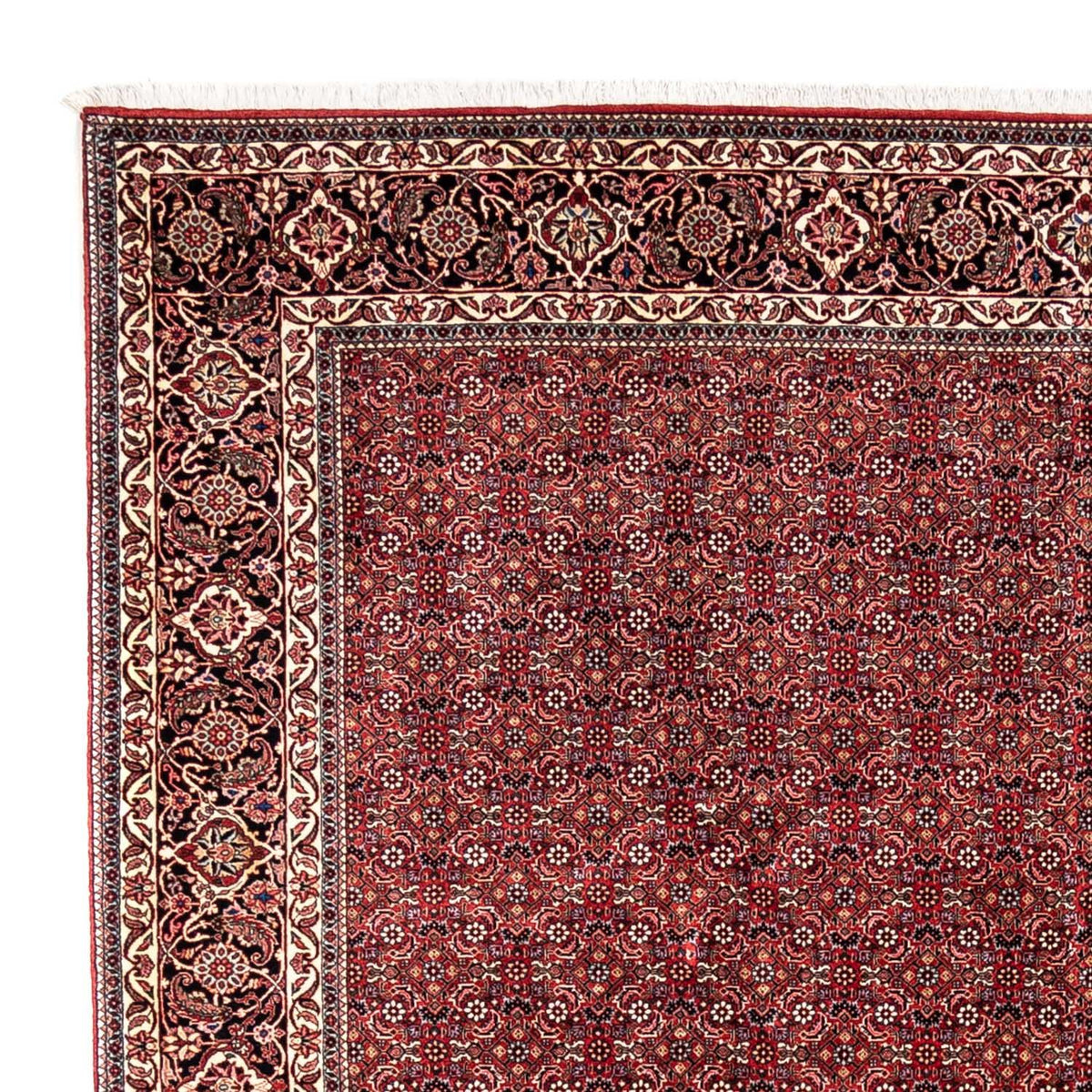 Tappeto Persero - Bidjar - 350 x 252 cm - rosso