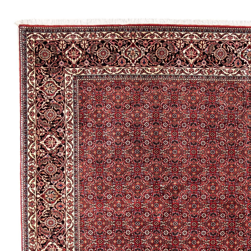 Tappeto Persero - Bidjar - 350 x 252 cm - rosso