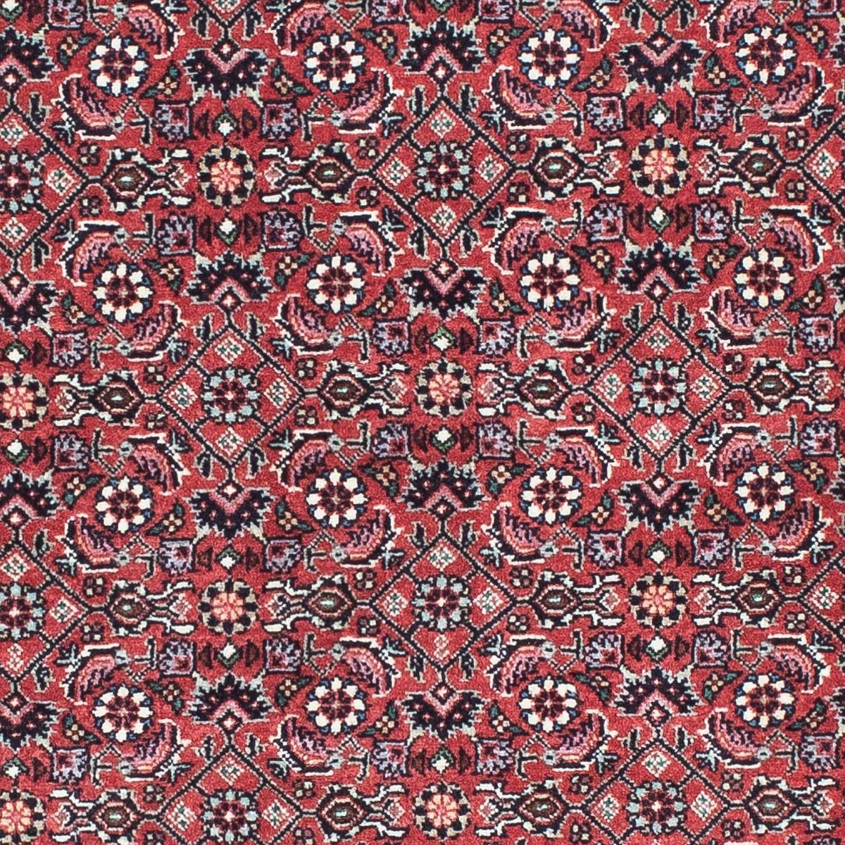 Tappeto corsia Tappeto Persero - Bidjar - 193 x 76 cm - rosso