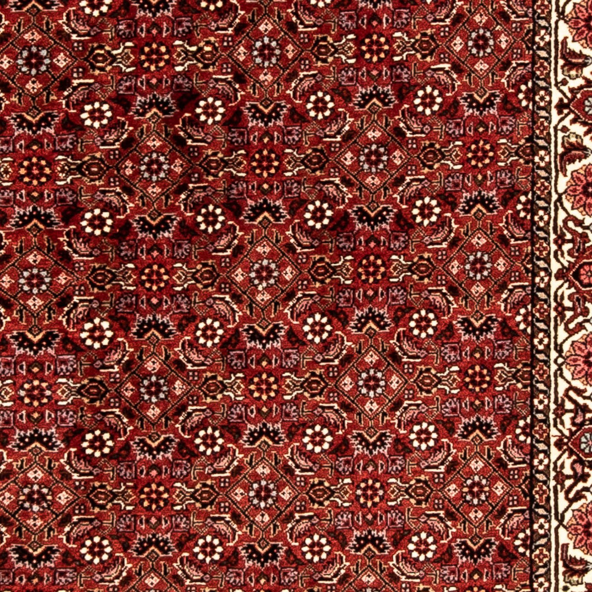 Tappeto corsia Tappeto Persero - Bidjar - 296 x 82 cm - rosso scuro