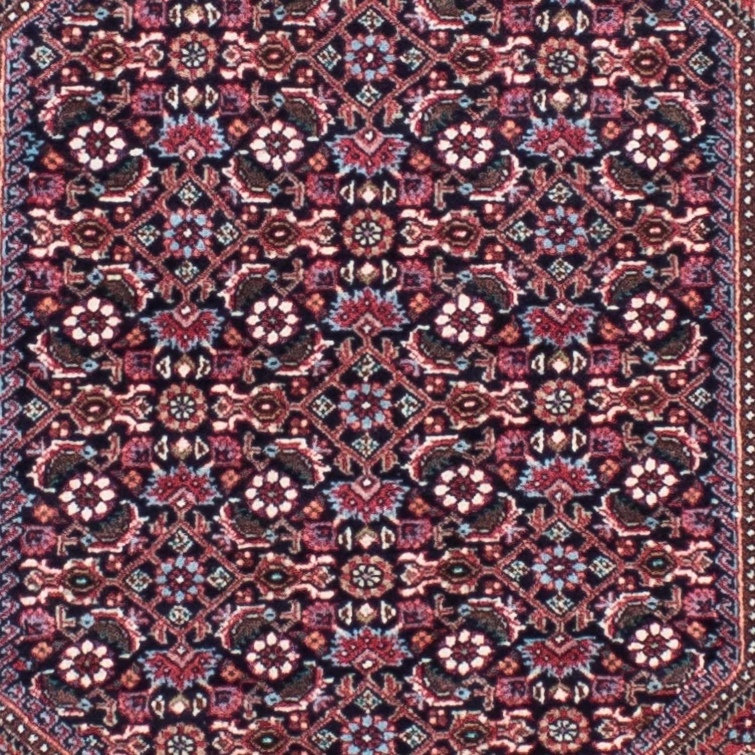 Tappeto corsia Tappeto Persero - Bidjar - 279 x 73 cm - rosso chiaro