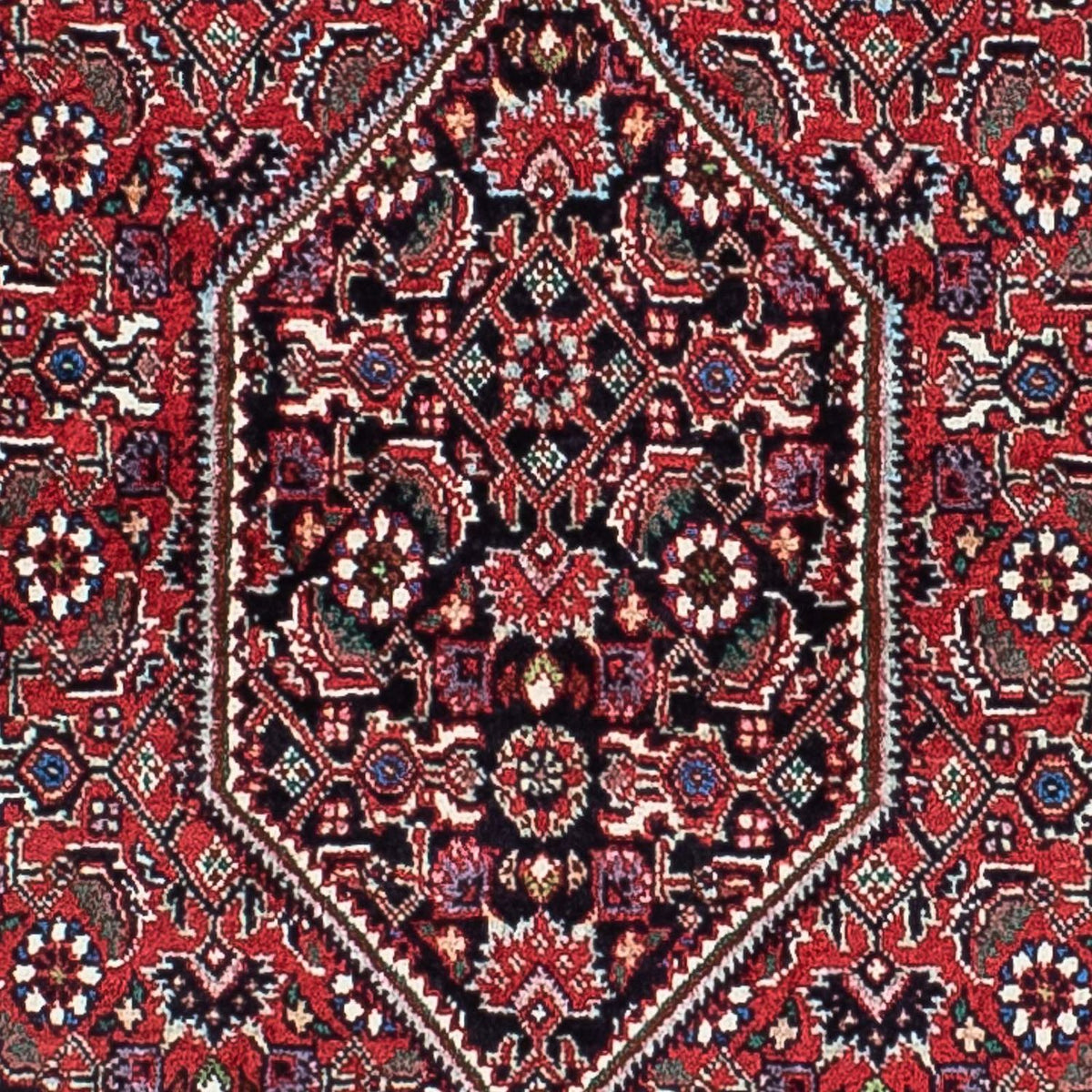 Tappeto Persero - Bidjar - 205 x 131 cm - rosso chiaro