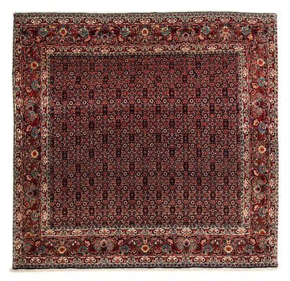 Tappeto Persero - Bidjar quadrato  - 208 x 197 cm - marrone