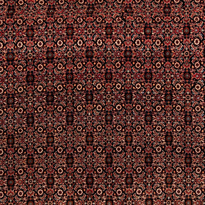 Tappeto Persero - Bidjar quadrato  - 208 x 197 cm - marrone