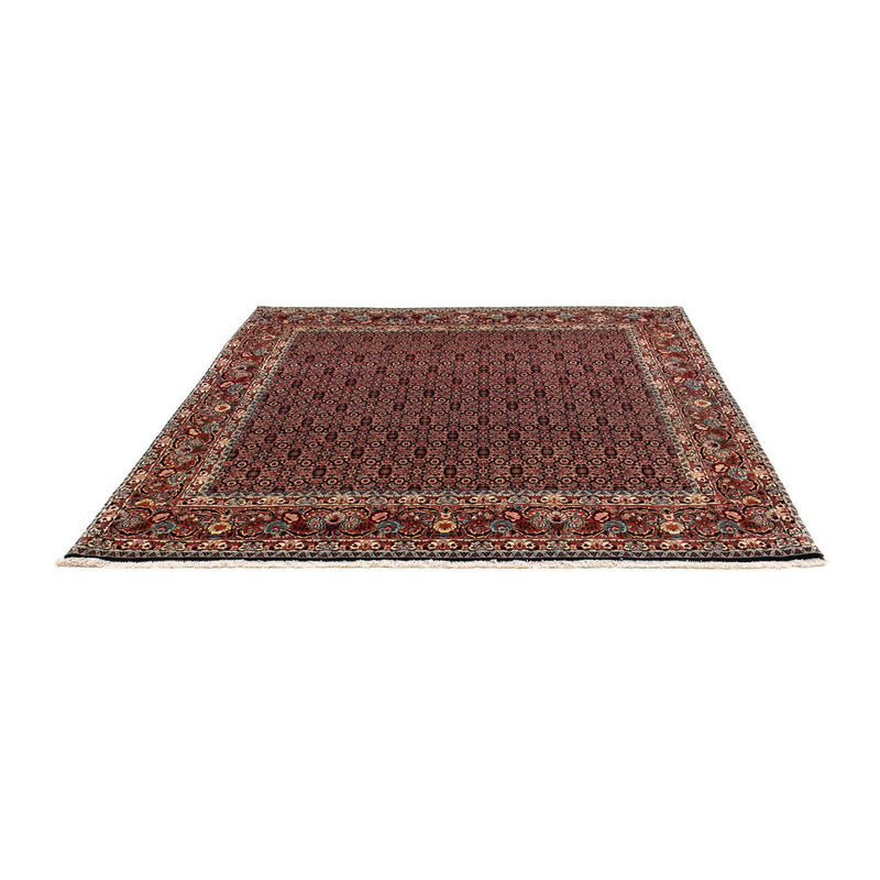 Tappeto Persero - Bidjar quadrato  - 208 x 197 cm - marrone