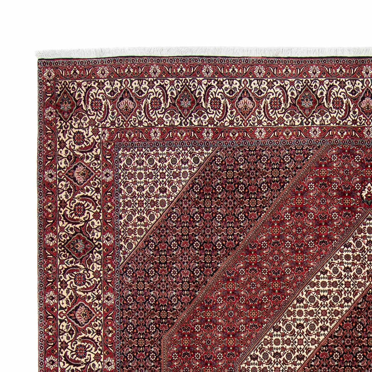 Tappeto Persero - Bidjar quadrato  - 300 x 300 cm - rosso scuro