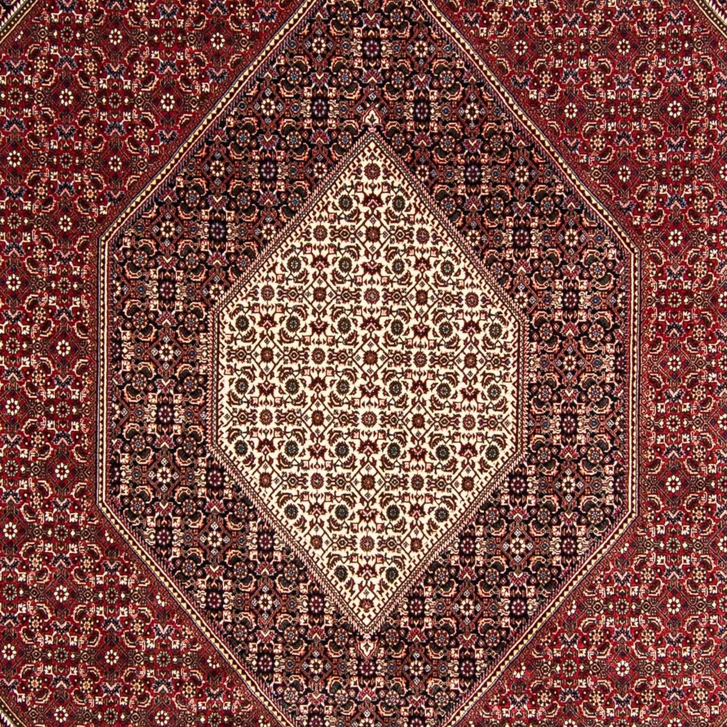 Tappeto Persero - Bidjar - 349 x 245 cm - rosso chiaro