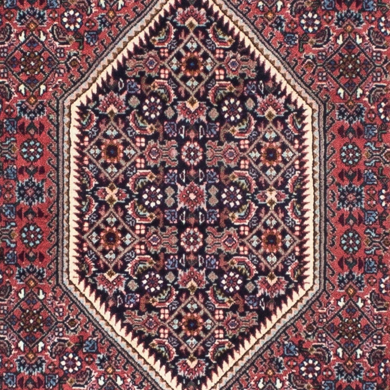 Tappeto corsia Tappeto Persero - Bidjar - 245 x 74 cm - rosso chiaro