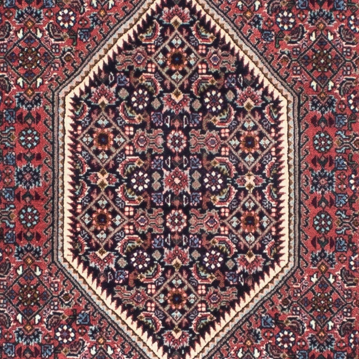 Tappeto corsia Tappeto Persero - Bidjar - 245 x 74 cm - rosso chiaro