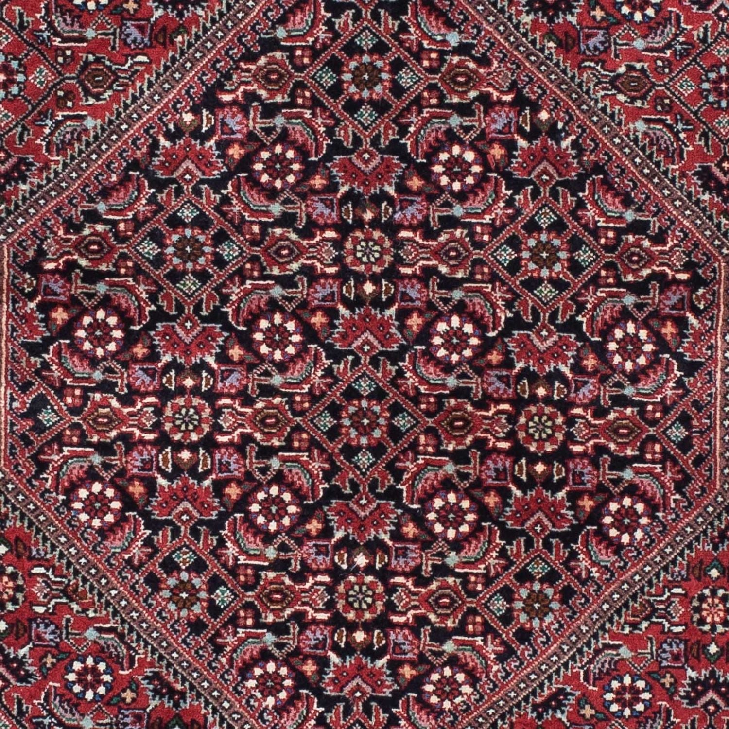 Tappeto corsia Tappeto Persero - Bidjar - 212 x 74 cm - rosso scuro