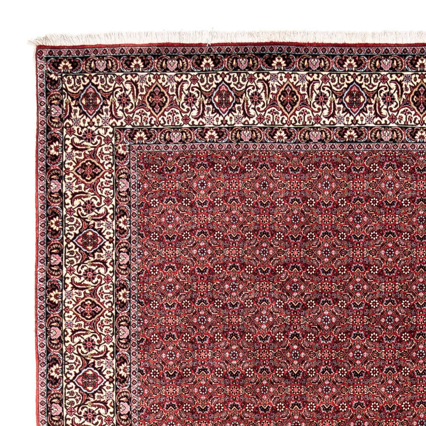 Bidjar - Takab Tappeto 338x252cm - Tappeto persiano