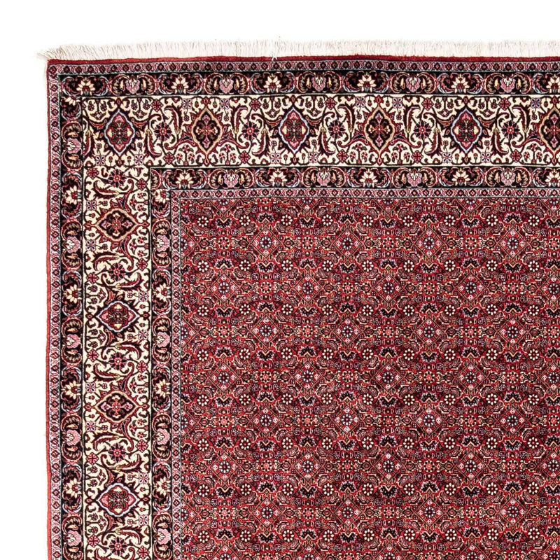 Tappeto Persero - Bidjar - 338 x 252 cm - rosso