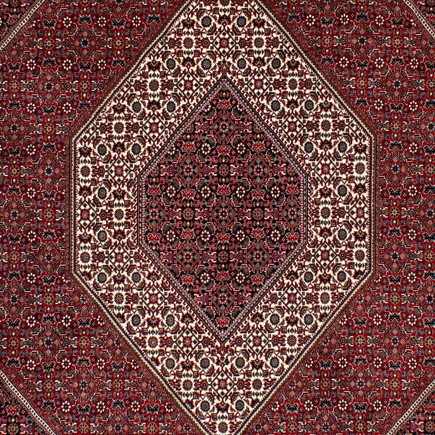 Tappeto Persero - Bidjar - 295 x 202 cm - rosso scuro