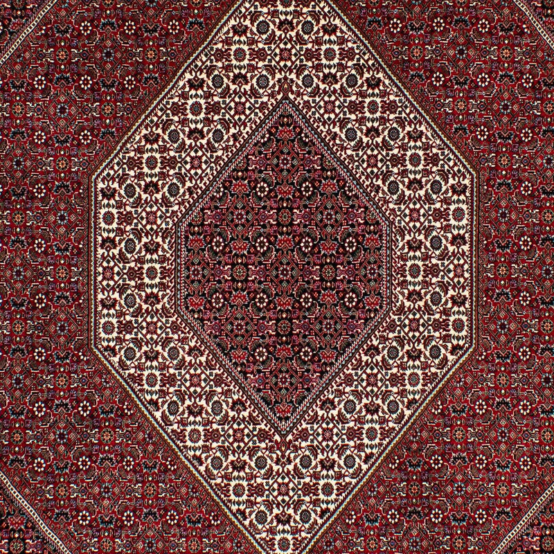 Tappeto Persero - Bidjar - 295 x 202 cm - rosso scuro