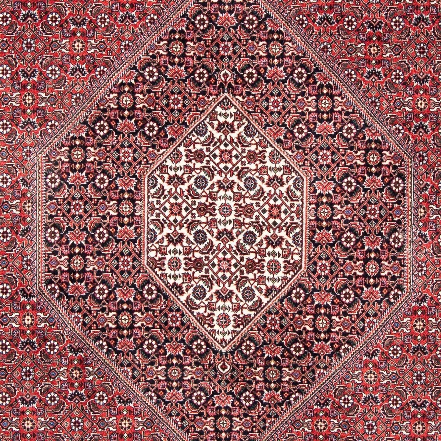 Tappeto Persero - Bidjar - 253 x 174 cm - rosso chiaro