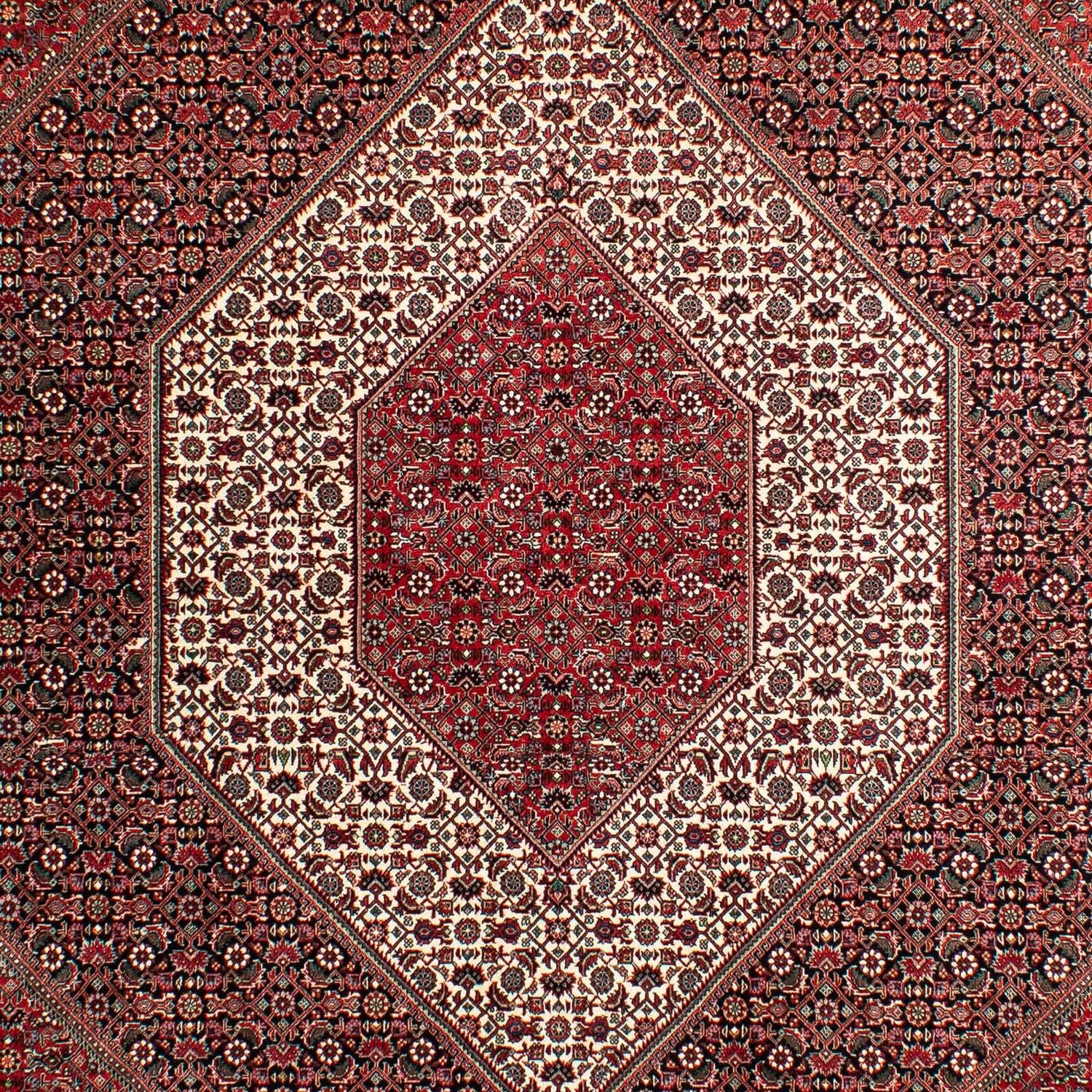 Tappeto Persero - Bidjar - 293 x 203 cm - rosso chiaro
