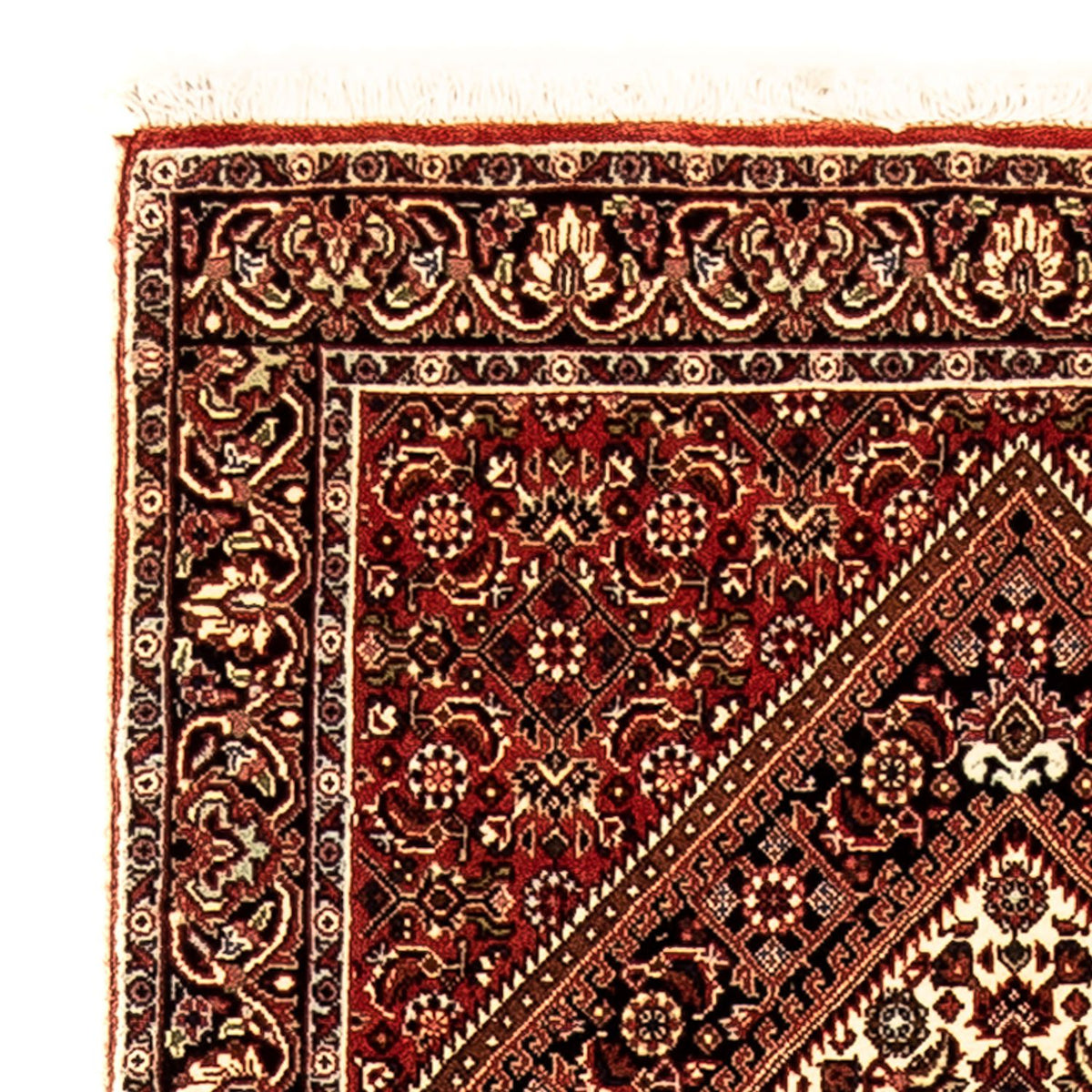 Tappeto corsia Tappeto Persero - Bidjar - 225 x 69 cm - multicolore