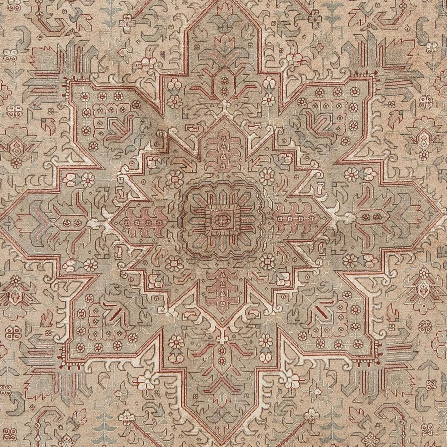 Tappeto Persero - Tabriz - Reale - 296 x 198 cm - marrone chiaro