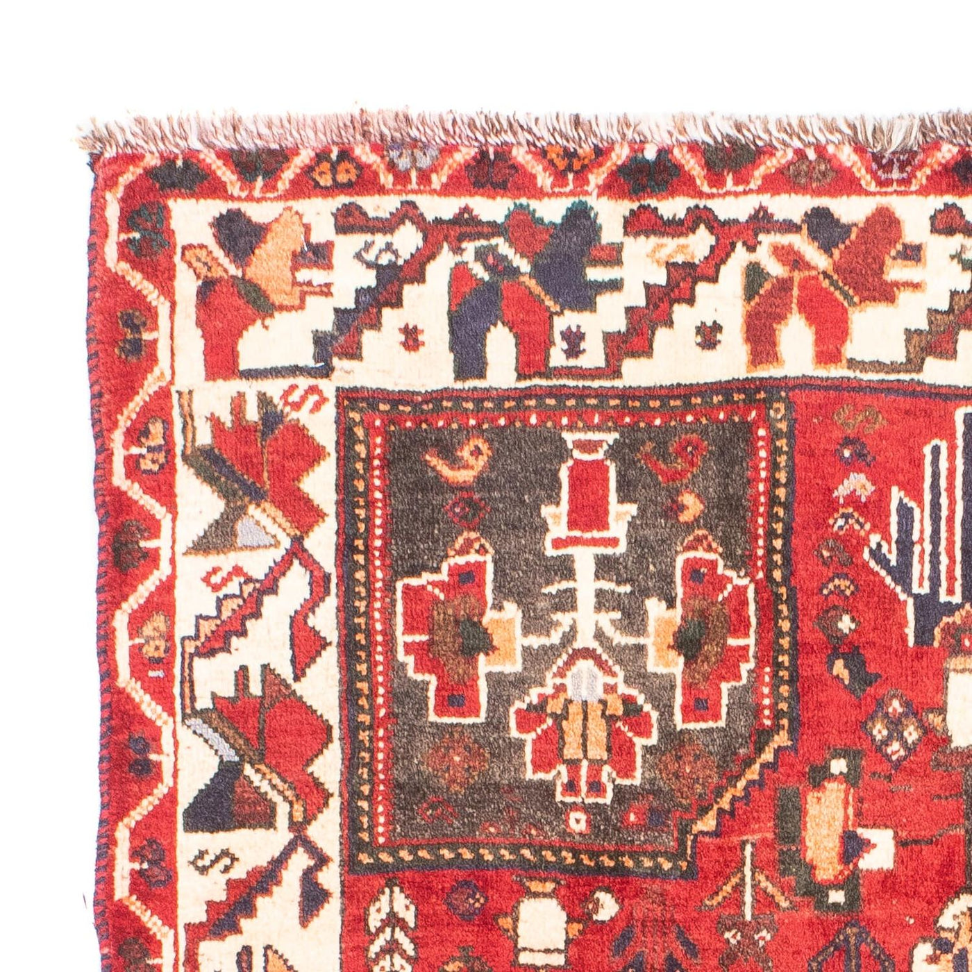 Shiraz Tappeto 160x110cm - Tappeto persiano