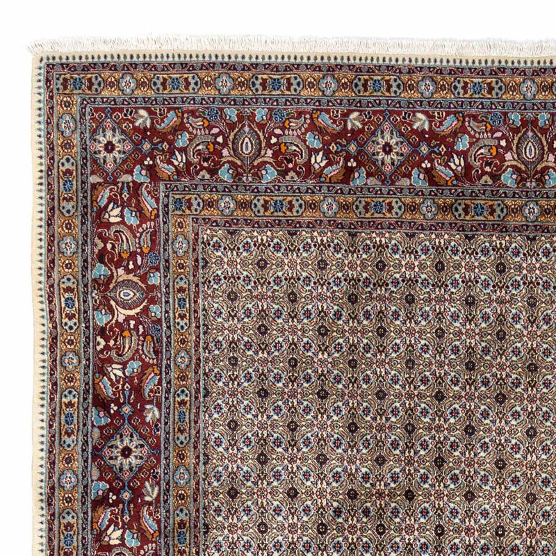Tappeto Persero - Classico - 345 x 248 cm - beige