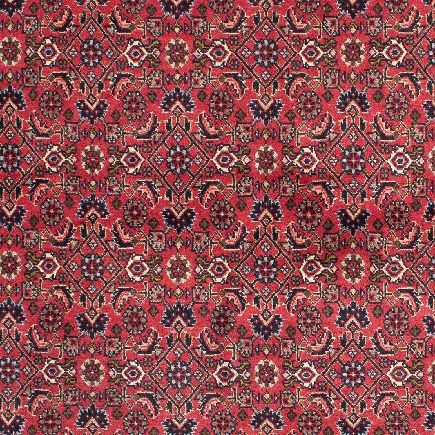 Tappeto Persero - Bidjar - 206 x 140 cm - rosso
