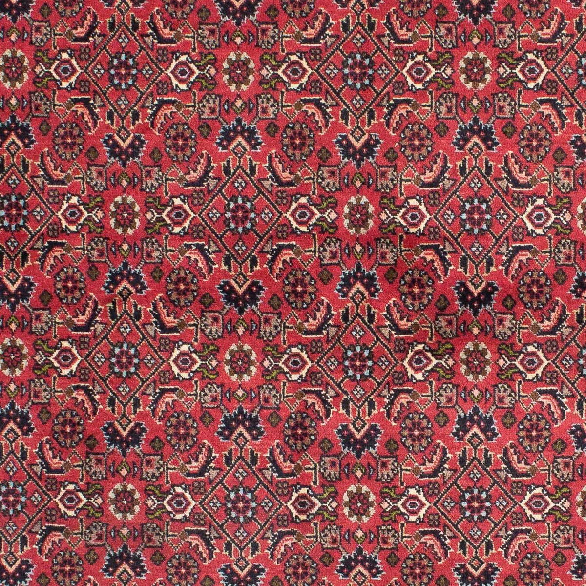 Tappeto Persero - Bidjar - 206 x 140 cm - rosso