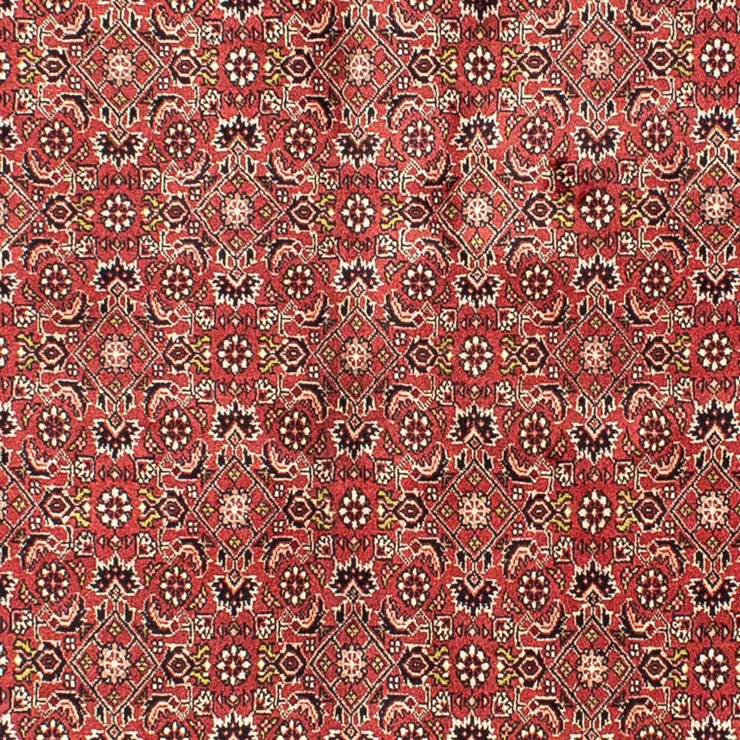 Tappeto Persero - Bidjar - 205 x 141 cm - rosso scuro