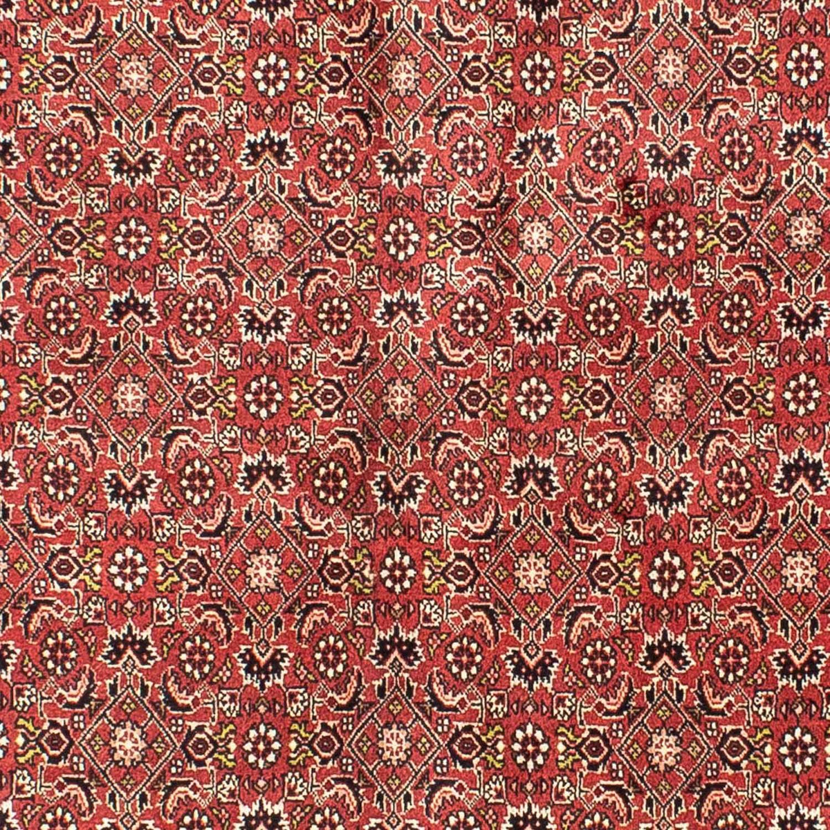 Tappeto Persero - Bidjar - 205 x 141 cm - rosso scuro