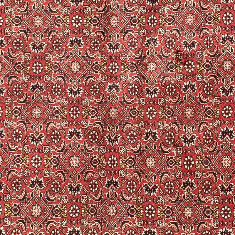 Tappeto Persero - Bidjar - 205 x 141 cm - rosso scuro
