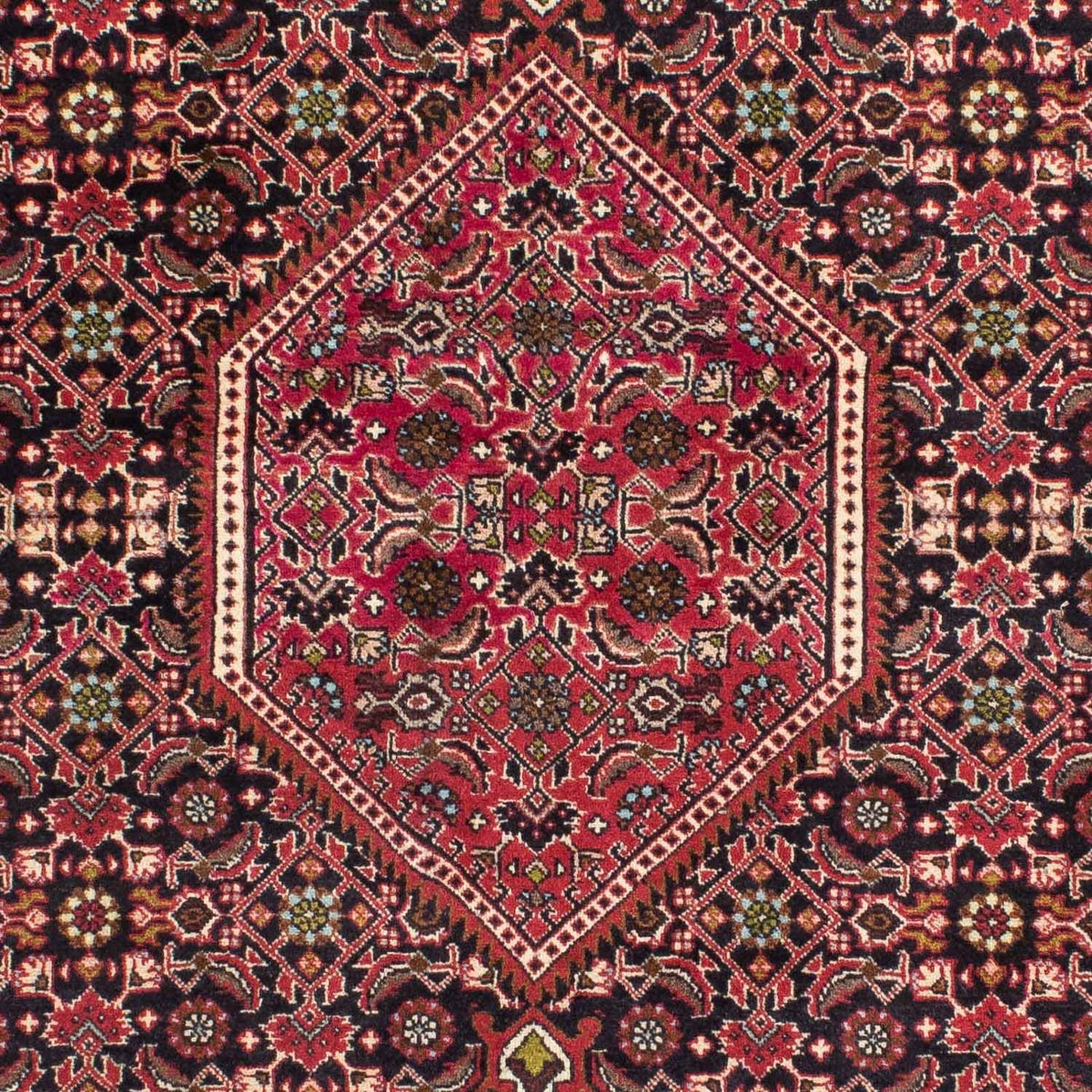 Tappeto Persero - Bidjar - 216 x 138 cm - rosso