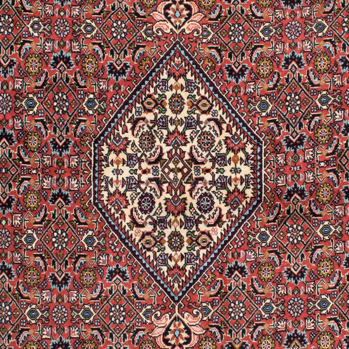 Tappeto Persero - Bidjar - 231 x 141 cm - rosso