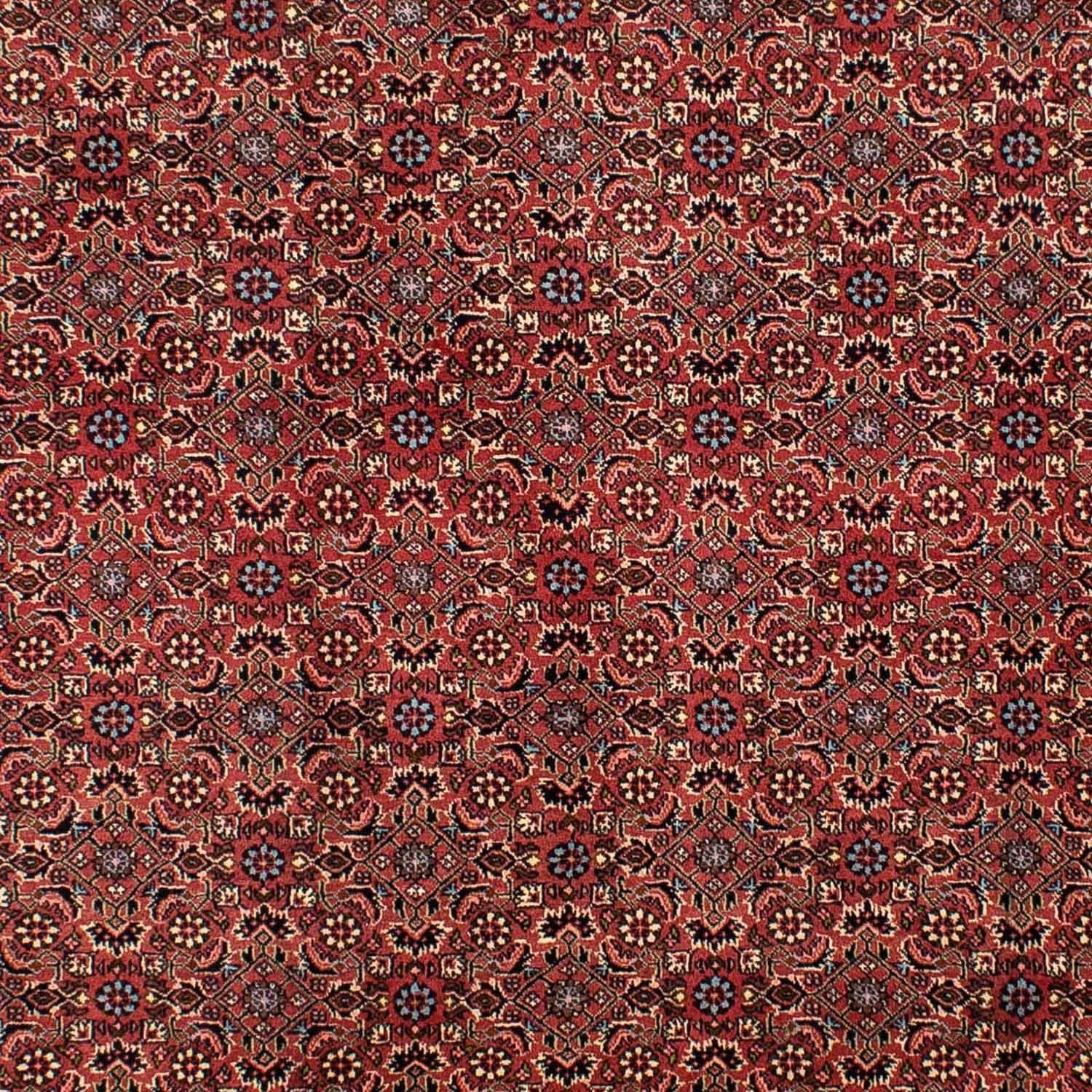 Tappeto Persero - Bidjar - 300 x 200 cm - rosso scuro