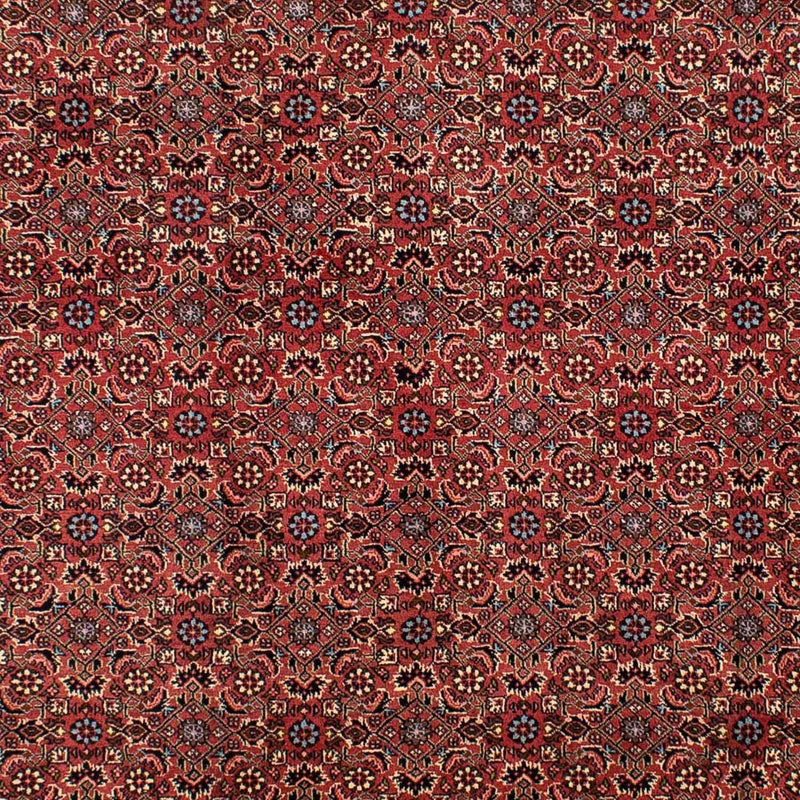 Tappeto Persero - Bidjar - 300 x 200 cm - rosso scuro