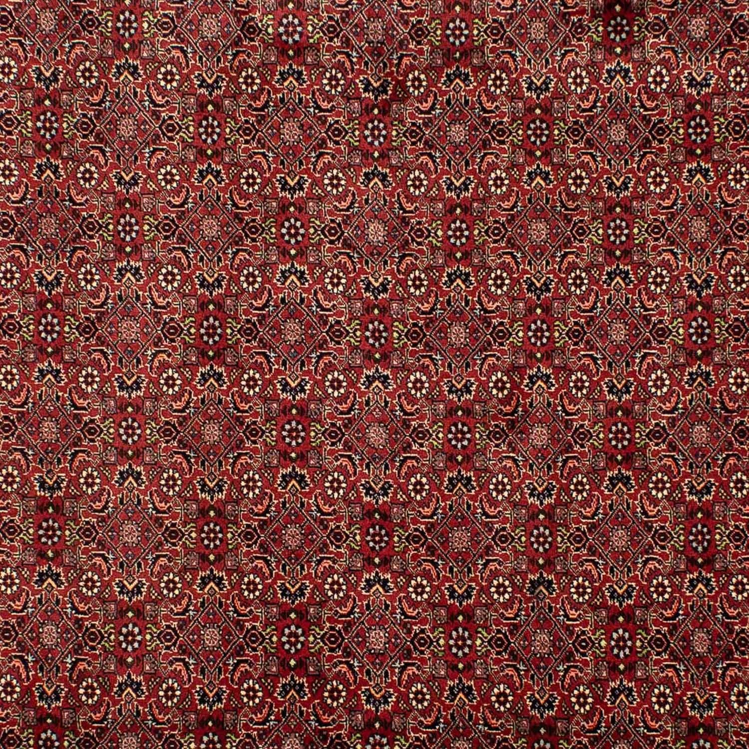 Tappeto Persero - Bidjar - 302 x 203 cm - rosso scuro