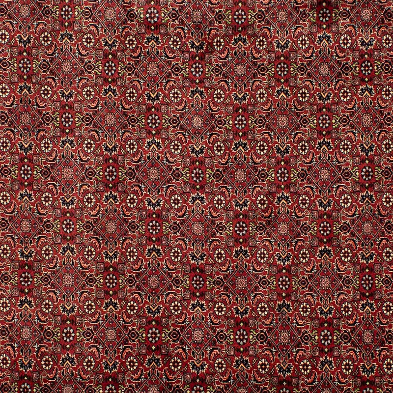 Tappeto Persero - Bidjar - 302 x 203 cm - rosso scuro