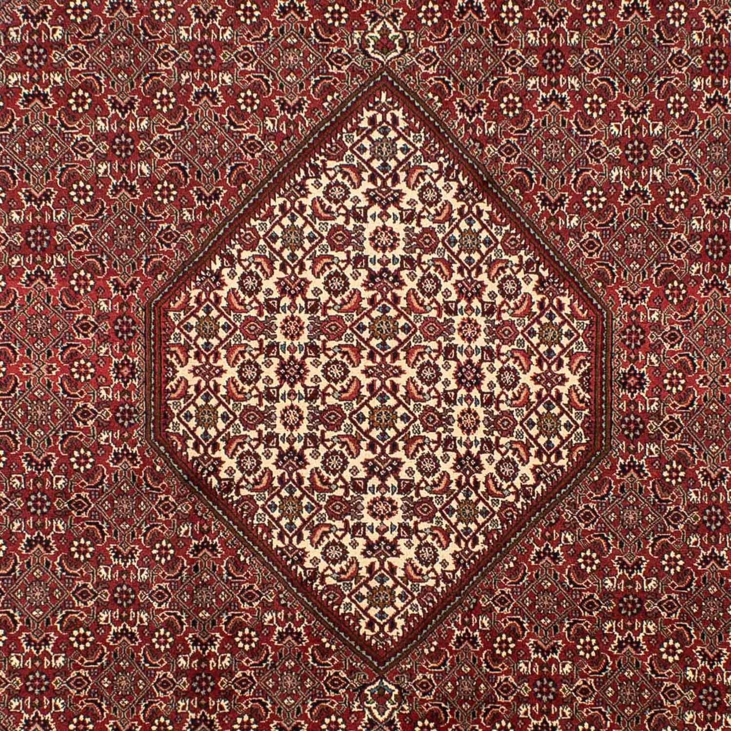 Tappeto Persero - Bidjar - 295 x 204 cm - marrone