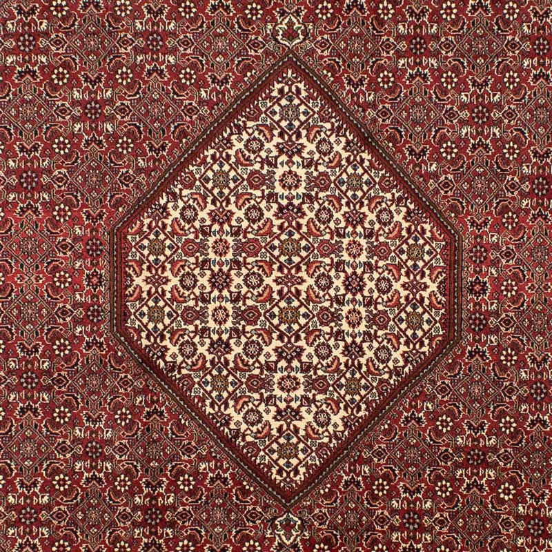 Tappeto Persero - Bidjar - 295 x 204 cm - marrone