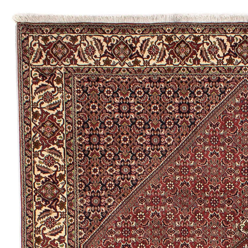 Tappeto Persero - Bidjar - 295 x 204 cm - marrone