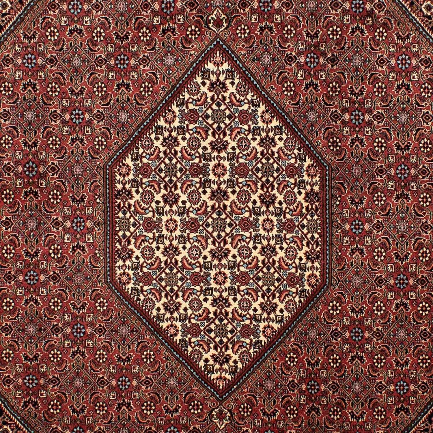 Tappeto Persero - Bidjar - 298 x 206 cm - marrone