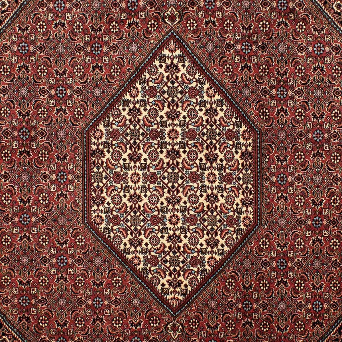 Tappeto Persero - Bidjar - 298 x 206 cm - marrone