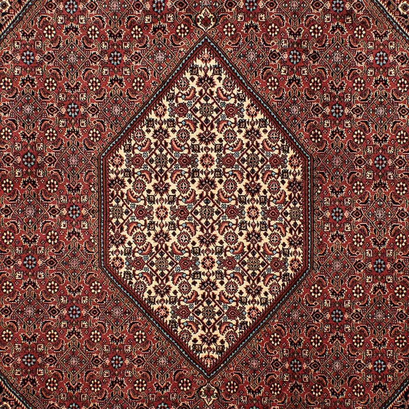 Tappeto Persero - Bidjar - 298 x 206 cm - marrone