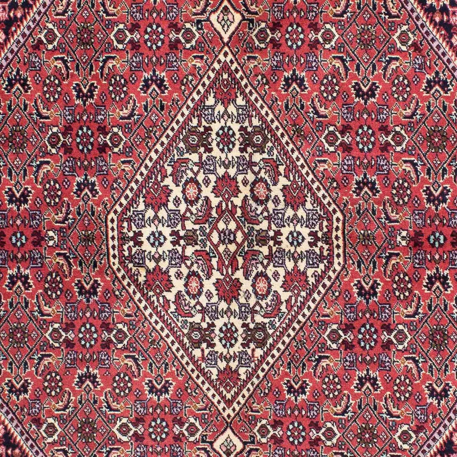 Tappeto Persero - Bidjar - 230 x 141 cm - rosso