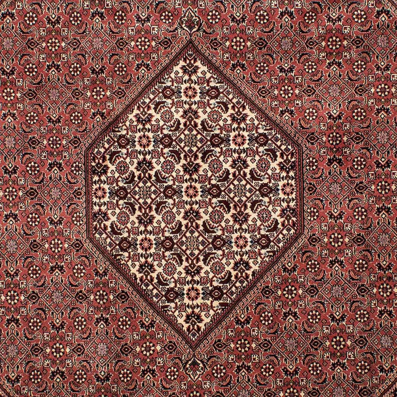 Tappeto Persero - Bidjar - 308 x 204 cm - marrone