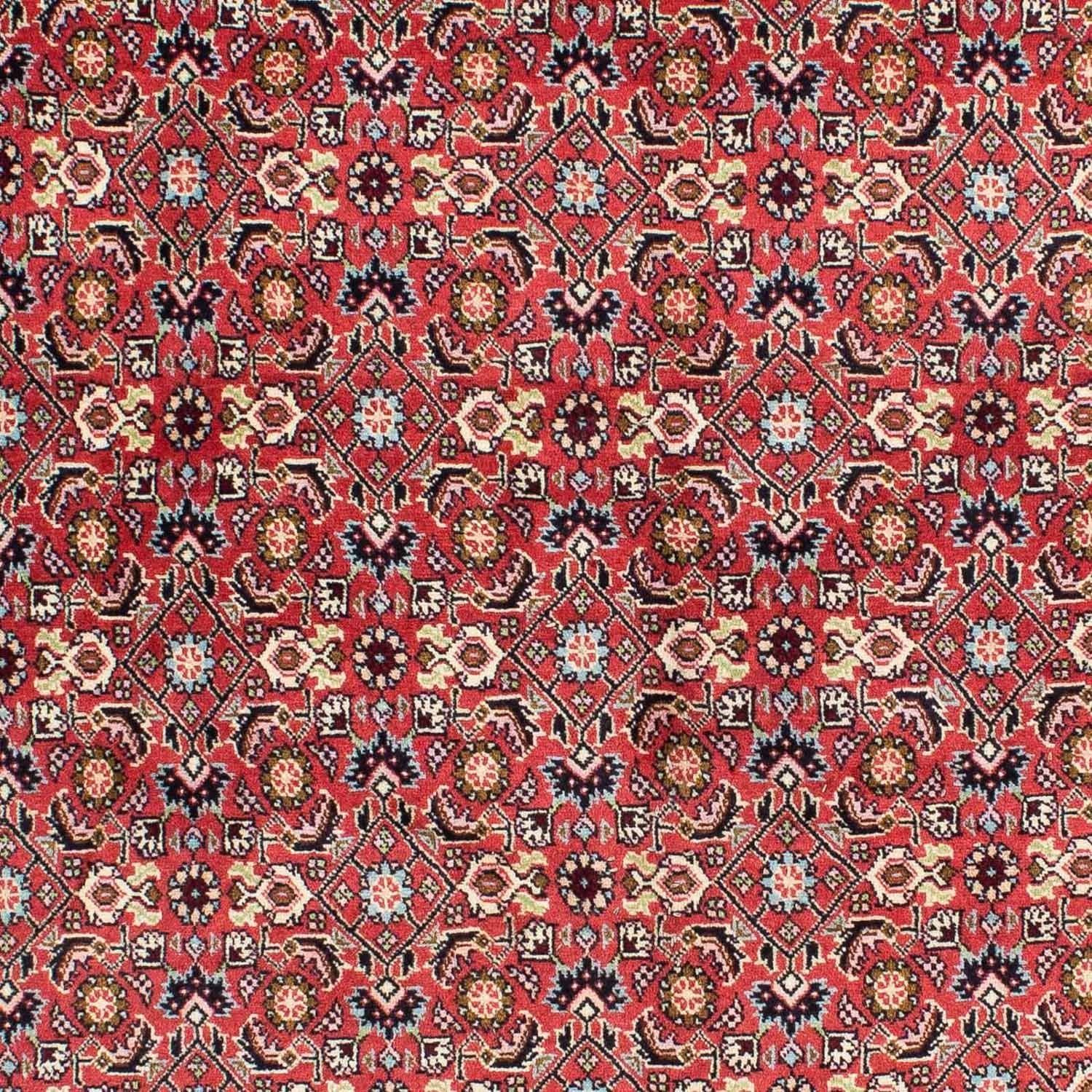 Tappeto Persero - Bidjar - 233 x 138 cm - rosso