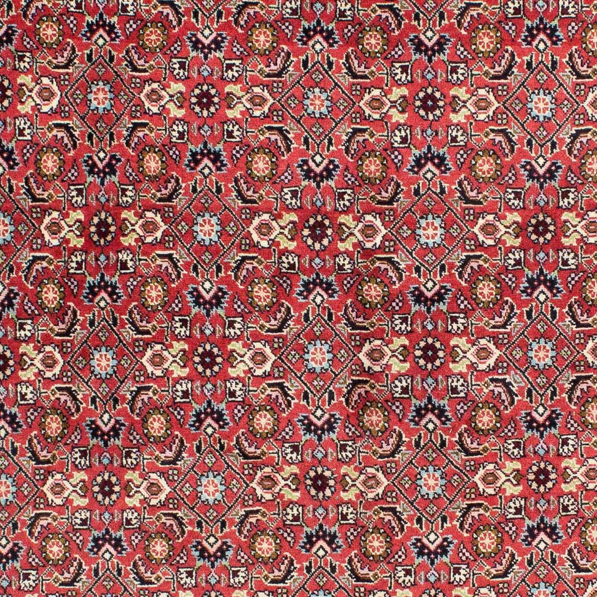 Tappeto Persero - Bidjar - 233 x 138 cm - rosso