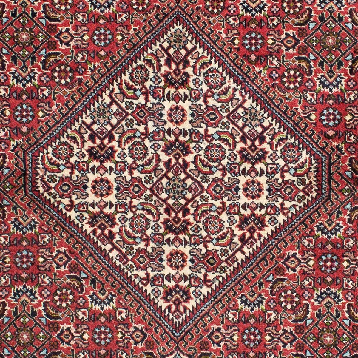Tappeto Persero - Bidjar - 224 x 140 cm - rosso