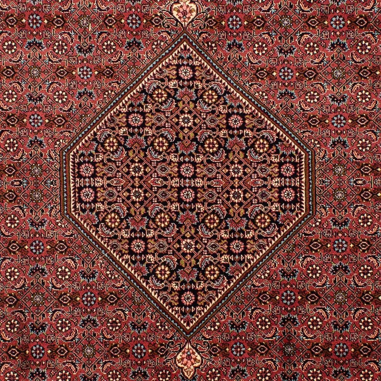 Tappeto Persero - Bidjar - 321 x 197 cm - marrone